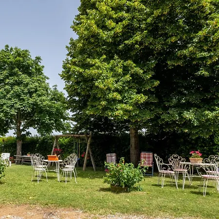 La Pieve - Gerani