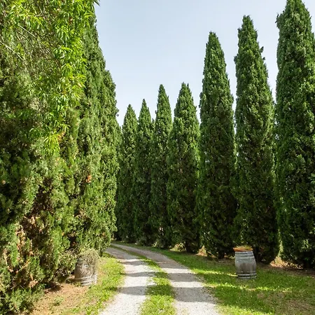 Farm stay La Pieve - Gerani
